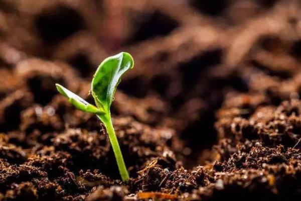 土壤檢測 土壤檢測