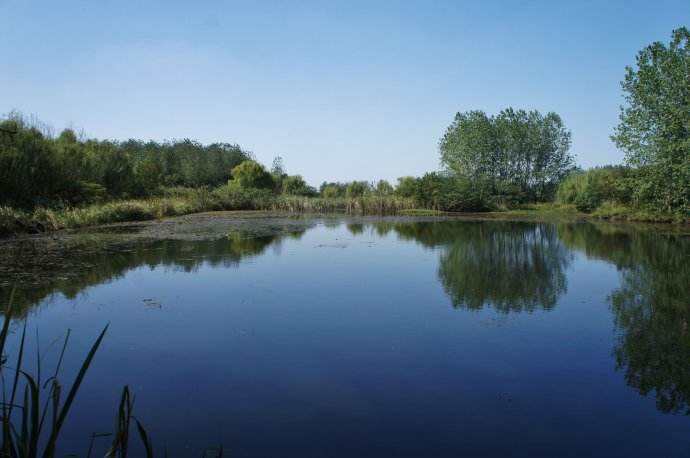 水質(zhì)檢測機(jī)構(gòu) 水質(zhì)檢測機(jī)構(gòu)