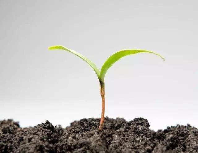 土壤檢測(cè) 土壤檢測(cè)