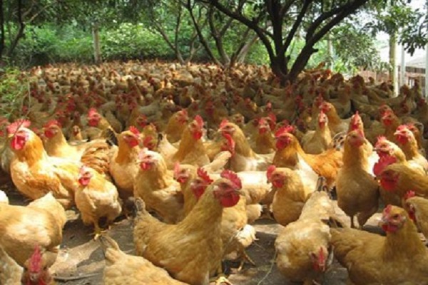 深圳市噪音檢測(cè)機(jī)構(gòu) 深圳市噪音檢測(cè)機(jī)構(gòu)