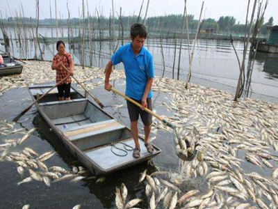 深圳水質(zhì)檢測 深圳水質(zhì)檢測