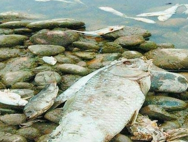 深圳水質檢測 深圳水質檢測