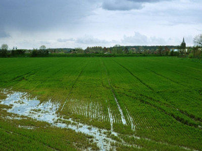 深圳水質(zhì)檢測 深圳水質(zhì)檢測