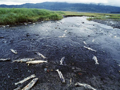 深圳水質(zhì)檢測 深圳水質(zhì)檢測