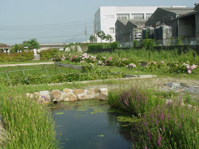 第三方水質(zhì)檢測(cè)公司 第三方水質(zhì)檢測(cè)公司