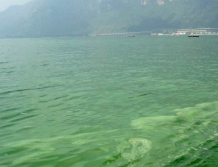 深圳水質(zhì)檢測機構(gòu) 深圳水質(zhì)檢測機構(gòu)