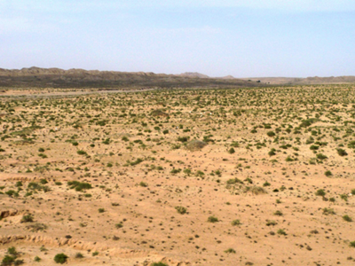 深圳水質檢測機構 深圳水質檢測機構