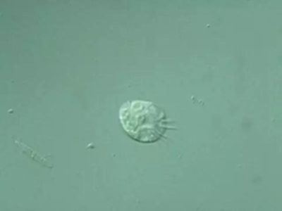 深圳飲用水檢測 深圳飲用水檢測