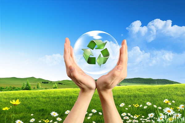 環(huán)境影響評價報告 環(huán)境影響評價報告